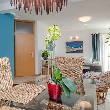 Romantic Oasis Apartments Zadar Exterior photo